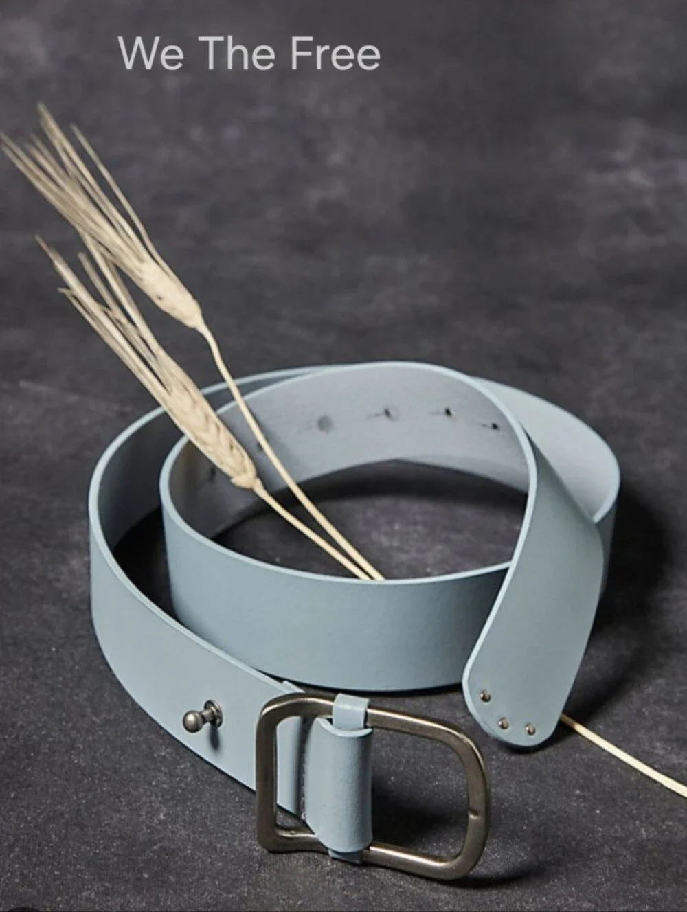 We The Free Gallo Grey Leather Belt with Metal Buckle NWT XS/S